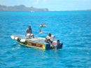 Tobago Cays - Grenadiny